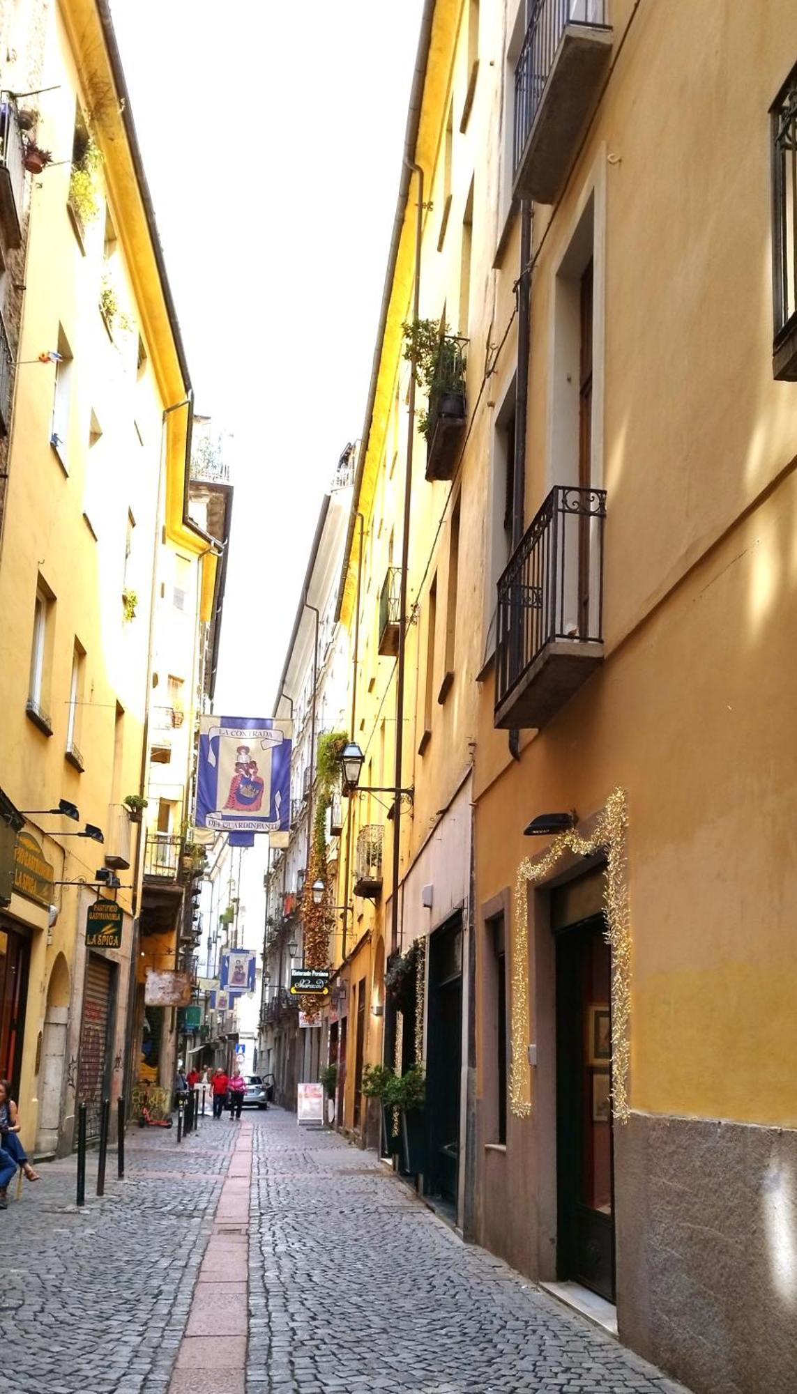Calin Apartment Torino Exterior foto