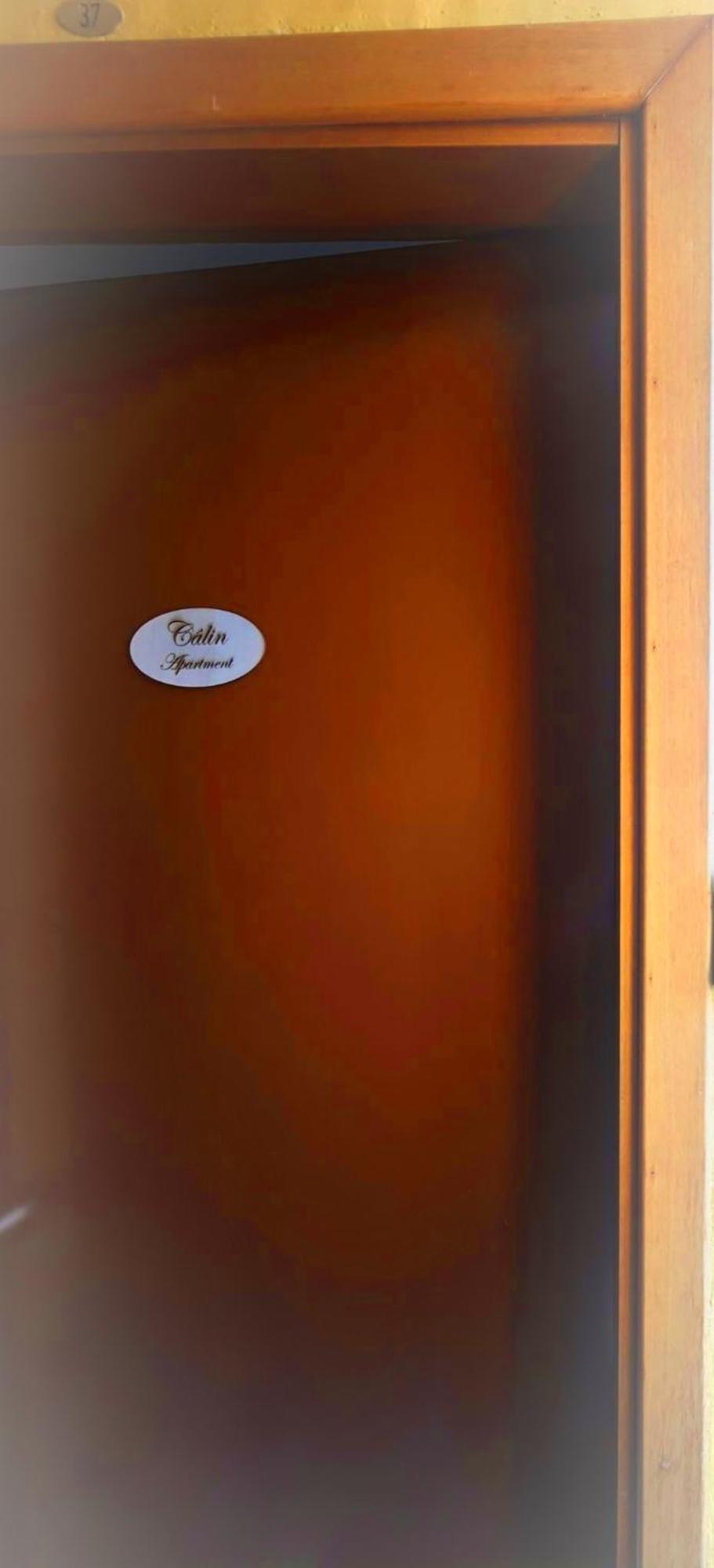 Calin Apartment Torino Exterior foto